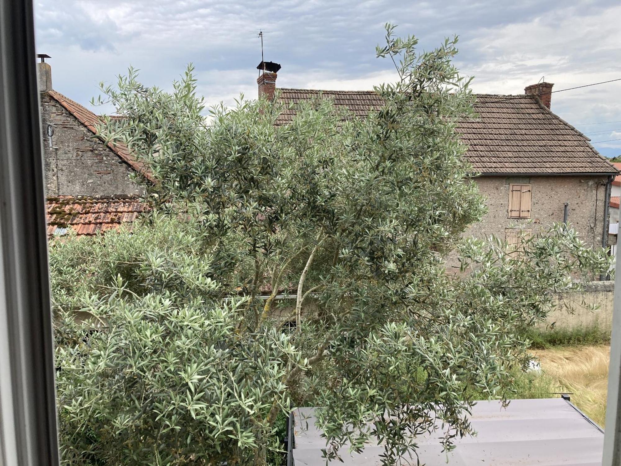 Location Appartement Des Pyrenees Borderes-sur-l'Echez Rom bilde